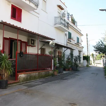 Eline Ii Palermo