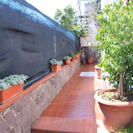 Apartment Eline Ii Palermo